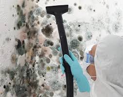 Best Emergency Mold Remediation  in Dublin, TX